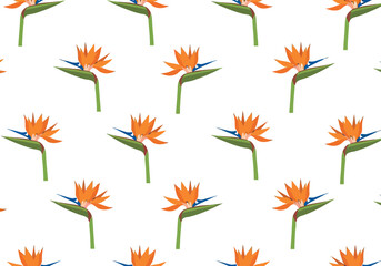 Fototapeta premium Seamless Pattern with Bird of Paradise Flowers on White Background for Tropical Textile Design