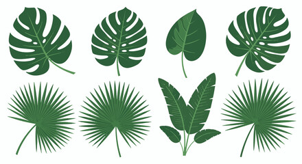 Elegant collection of diverse philodendron leaves in monochromatic tones © Mir