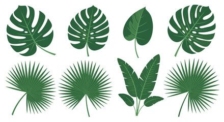 Diverse collection of tropical and unique leaf illustrations in dark green © Mir