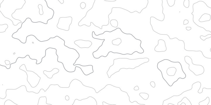 Abstract minimal The patter discovery vector topo map creative discovery White wave grid stripe line map topography.	