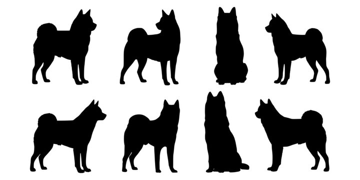 Akita dog silhouette set. Japanese Akita Inu silhouette. Akita dog vector set. Akita dog symbol. Vector illustration.