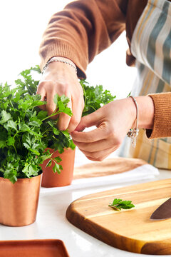 woman hands chopping parsley in a kitchen setting