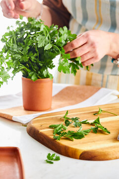 Parsley leaves on a cutting board with female hands chopping parsley from a jar in the background