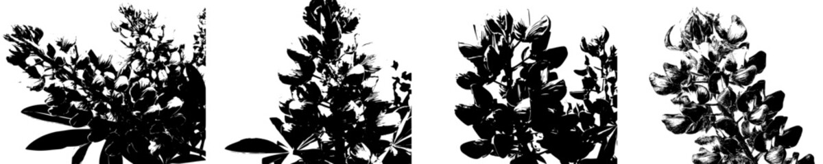 Fototapeta premium Vibrant Purple Lupine Bouquet