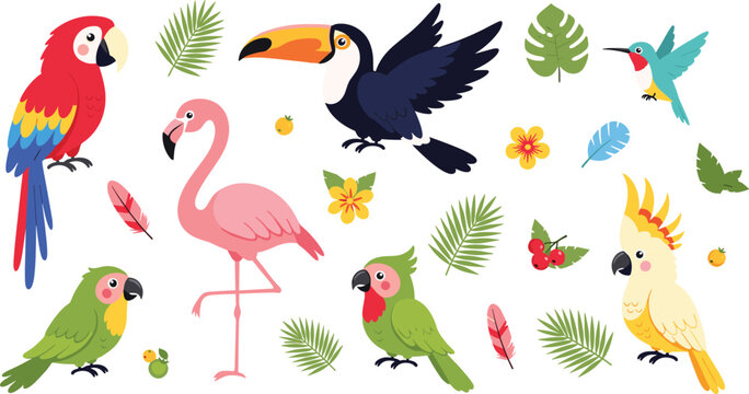 Cute Tropical Birds Cartoon Vector Collection Featuring Parrot, Toucan, Flamingo, Cockatoo and Hummingbird with Feathers, Flowers, Leaves and Jungle Nature Elements.