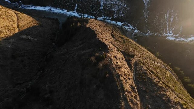 FPV drone flight over deforested mountain slope with clear-cut terrain, logging tracks and scattered tree stumps, revealing remaining forest edge under bright daylight.