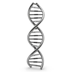 A dna double helix model