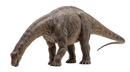 Majestic long-necked sauropod dinosaur, a detailed model with textured brown skin, standing isolated on transparent background, ancient creature PNG © Finn