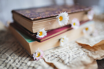 Książki i kwiaty © Justyna