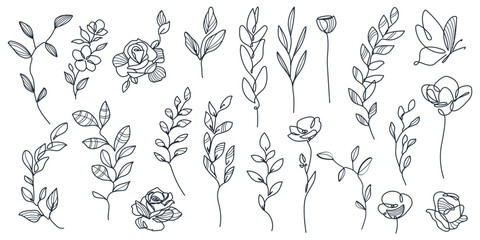Flowers and Leaves Set Line Art Drawing. Hand Drawn Floral Plant Vector Illustrations Collection. Line Art Graphic Simple Leaf and Flowers Art Drawing. Botanical Doodle Minimalist Design
