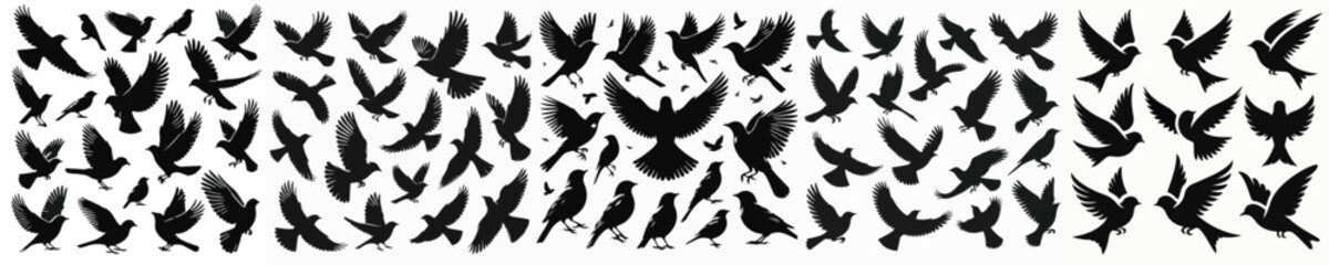 Fototapeta premium Vector set image silhouette of bird