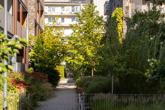 Trees lined pathway through residential courtyard greenery in Stockholm Sweden Djurgardsstaden creating calm urban space photographed in daylight