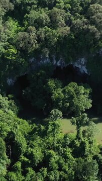 Drone shot of lush green forest surrounding the entrance of Kong Lor Cave with a river flowing into the cavern in Laos. Dense tropical foliage and dramatic limestone cliffs create a striking natural
