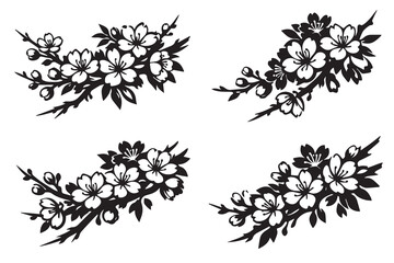 Simple black and white vector illustration of several cherry blossom branches with delicate sakura flowers, drawn with clean outlines to create an elegant botanical design. © primus