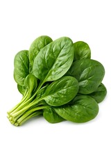 Fototapeta premium A vibrant bunch of fresh spinach leaves on a white background