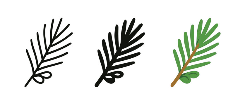 Simple pine leaf variations in outline, silhouette, and color styles