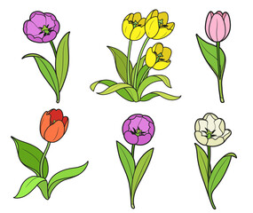 Naklejka premium Big blossoming tulip flowers set for coloring book color drawing isolated on white background