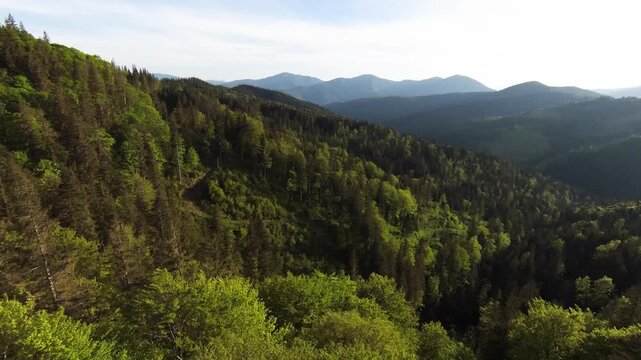 FPV drone flight skimming close to trees on a mountain hillside, weaving above green meadows and forest edge, revealing rolling ridges under bright blue sky.