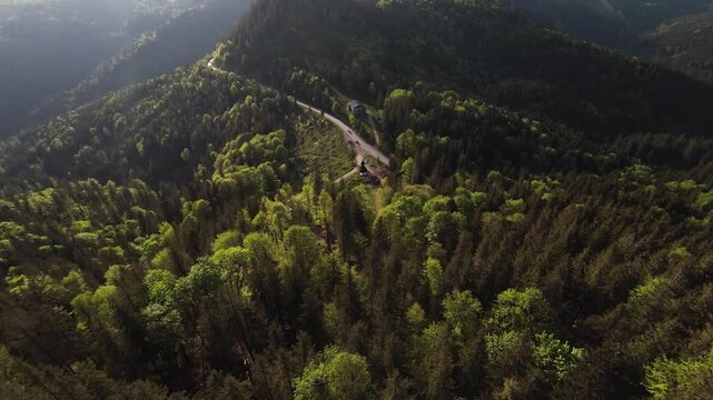 FPV drone flight skimming close to trees on a mountain hillside, weaving above green meadows and forest edge, revealing rolling ridges under bright blue sky.
