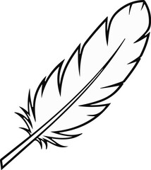 Fototapeta premium Single black feather with a thin shaft and delicate barbules, set against white