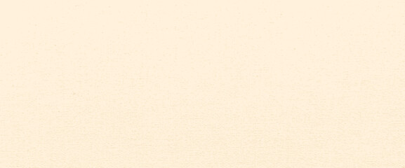 Fototapeta premium Beige paper texture with vintage grunge effect. Recycled craft background featuring organic speckles and grainy patterns for retro design projects. Vector eggshell textured cream pale bg.