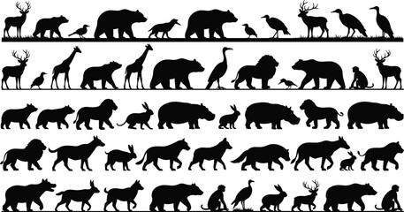 Silhouette collection of diverse wild animals including deer, bears, birds, giraffes, lions, rabbits, rhinoceroses, and human figure isolated on white background © Sohidul