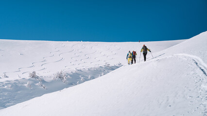 Fototapeta premium Group ski mountaineering ascending snowy mountain slope