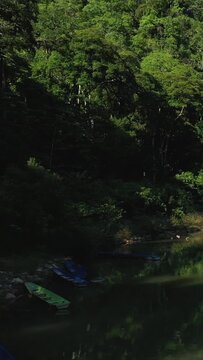 Dense green foliage and tranquil water along the riverbank near Kong Lor Cave in Laos. Natural tropical landscape with vibrant greenery reflected in calm water.