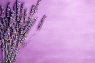 Fototapeta premium Lavender background lavender backgrounds flower.