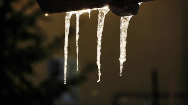 Icicles hanging from a roofline dripping water on a cold winter day