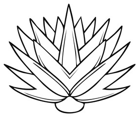Obraz premium Stylized Agave Plant Outline Vector Illustration Desert Flora Design Element