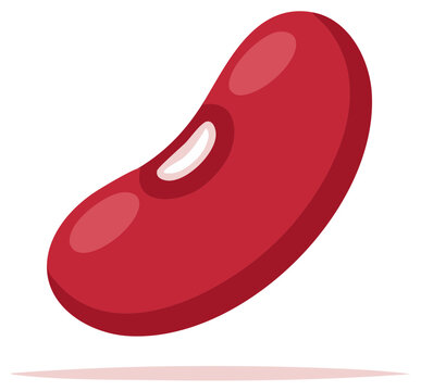 A single vibrant red kidney bean with a white hilum isolated on a plain background