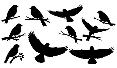 Fototapeta premium Birds on branch silhouette vector set