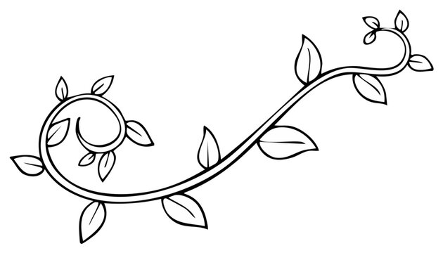 Elegant line drawing of a vine with leaves in a swirling pattern.