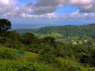 Obraz premium Le murmure des vallées vertes