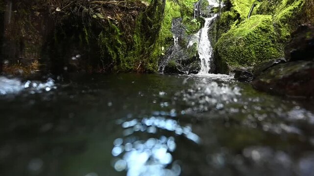 水が流れる、美し滝と緑の苔と光る池