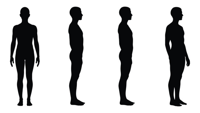 All Diffenert Body Types
