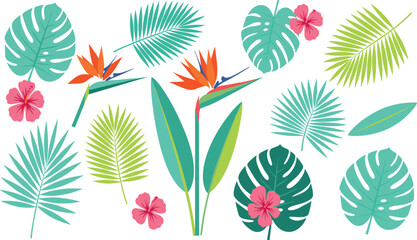 Fototapeta premium Tropical Leaves and Flowers Vector Set with Monstera, Palm, Banana Leaves and Bird of Paradise Floral Botanical Illustration