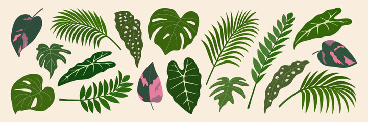 Set of green tropical leaves. Foliage of exotic plants., alocasia, palm, philodendron, monstera. Botanical design elements. Hand drawn vector illustration isolated on light background, flat style. © Olena