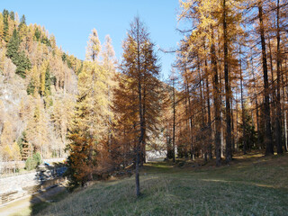 Fototapeta premium Autumn in the Alps. Chardonney, a hamlet of Champorcher, Aosta Valley, Alps, Italy.