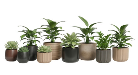 Obraz premium A vibrant collection of potted plants, including ferns, succulents, and palms, arranged on a transparent background, showcasing their unique textures and shapes.