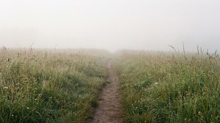 Naklejka premium A serene dirt path leads through a foggy green meadow