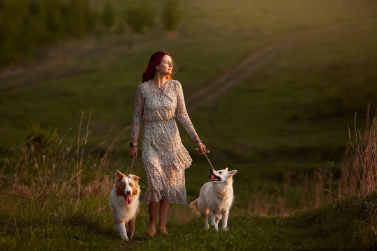 Young redhead woman in floral summer dress walking two dogs on green hill trail during golden hour sunset light. Romantic country lifestyle with pets in nature. Beautiful evening scene with copy space