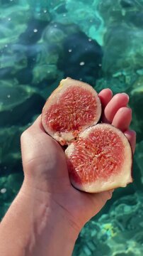 Vertical video of a half cut fig held in a woman&rsquo;s hand with the sea in the background. Ripe fruit. Concept of summer, fresh food, nature, and Mediterranean lifestyle