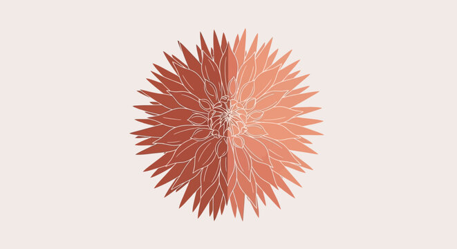 Close up of Sea Urchin Shell.