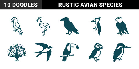 Fototapeta premium Hand-drawn bird species for organic brand identity. Rustic, naive marker sketch illustrations featuring eagle, toucan, and flamingo concepts.