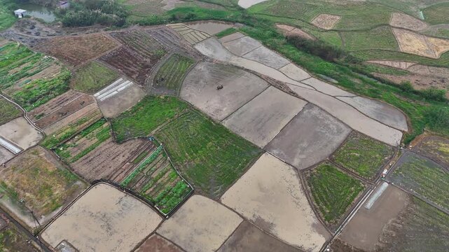 Spring Plowing: Farmers with Small Tractor in Patchwork Fields, Guangxi