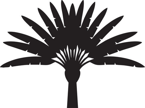 Madagascar Travellers Palm Fan Leaf Silhouettes