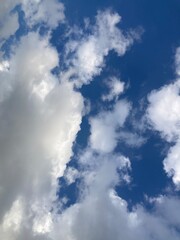 Fototapeta premium blue sky filled with white fluffy cumulus clouds