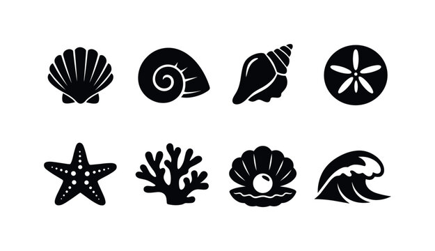 Beach Shell Collection Pattern. Filled icon set of Beach Shell Collection Pattern: scallop shell, spiral shell